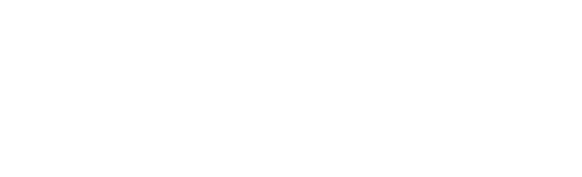 大乘海星Logo